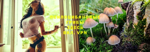 прущий лед Богданович
