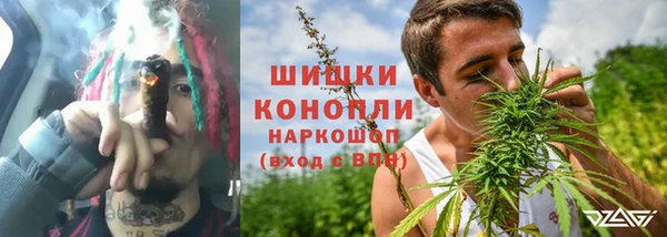 ECSTASY Бикин