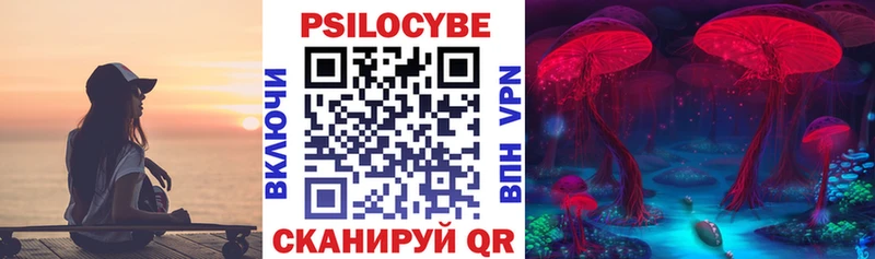 Псилоцибиновые грибы MAGIC MUSHROOMS МЕГА как зайти Кубинка