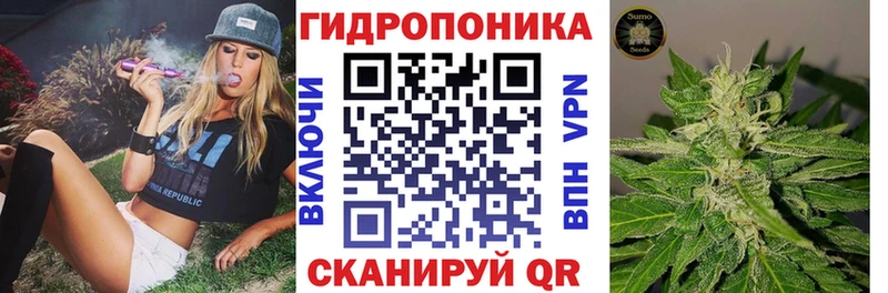Бошки марихуана White Widow  купить наркоту  Кубинка 